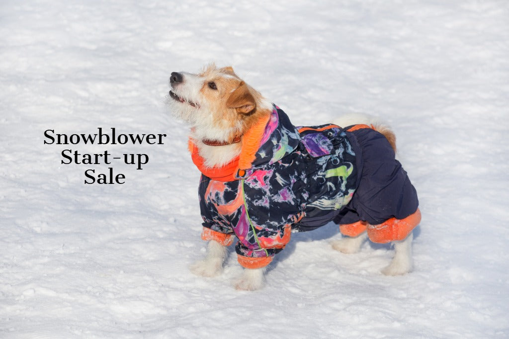 Snowblower Start-up Sale